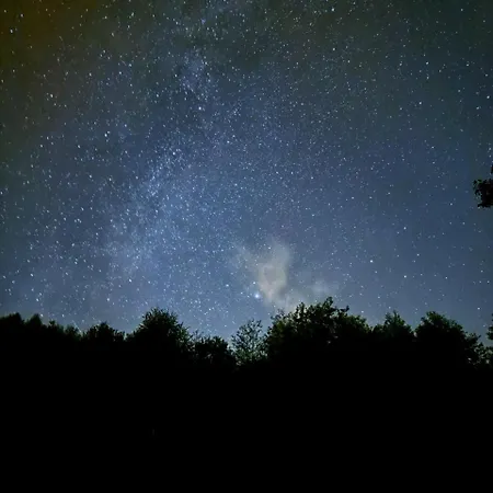 With Sauna, Pub & Terrace