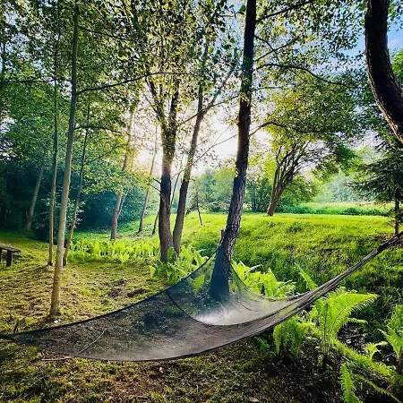 With Sauna, Pub & Terrace Ploczki Gorne