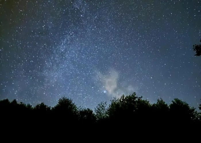 With Sauna, Pub & Terrace