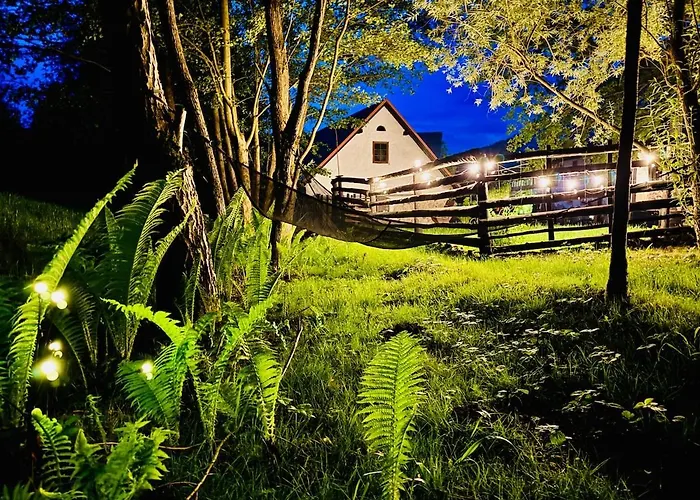 Appartement With Sauna, Pub & Terrace *