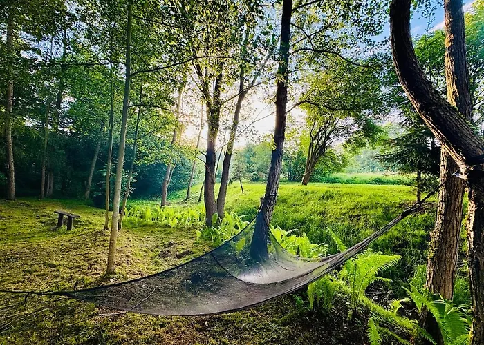 With Sauna, Pub & Terrace Ploczki Gorne